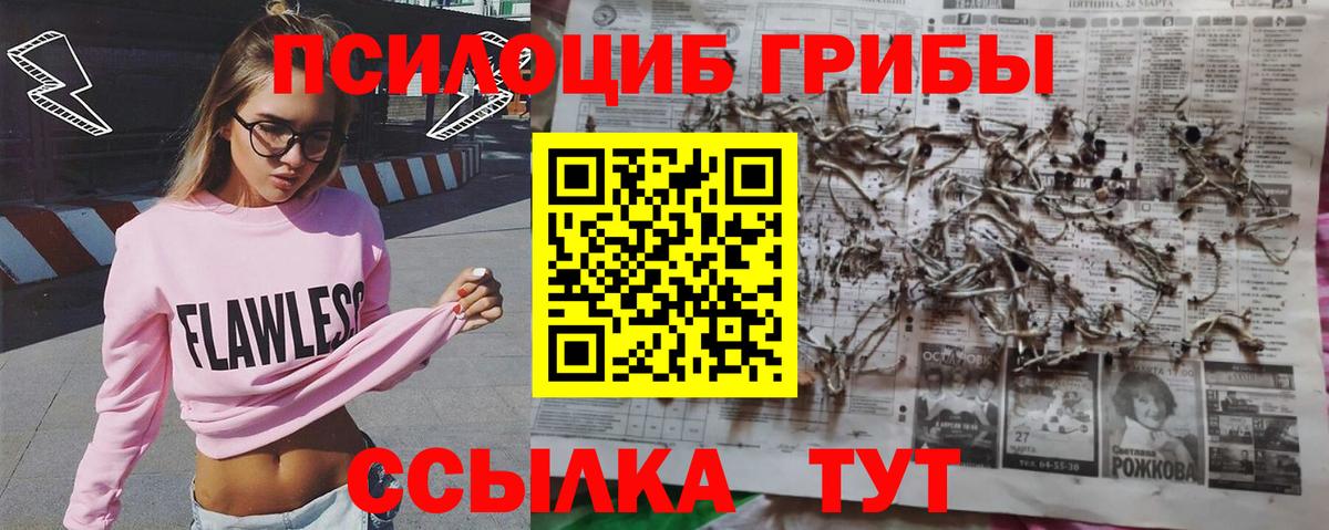 Дальнереченск  Галлюциногенные грибы ЛСД  Вход с VPN 