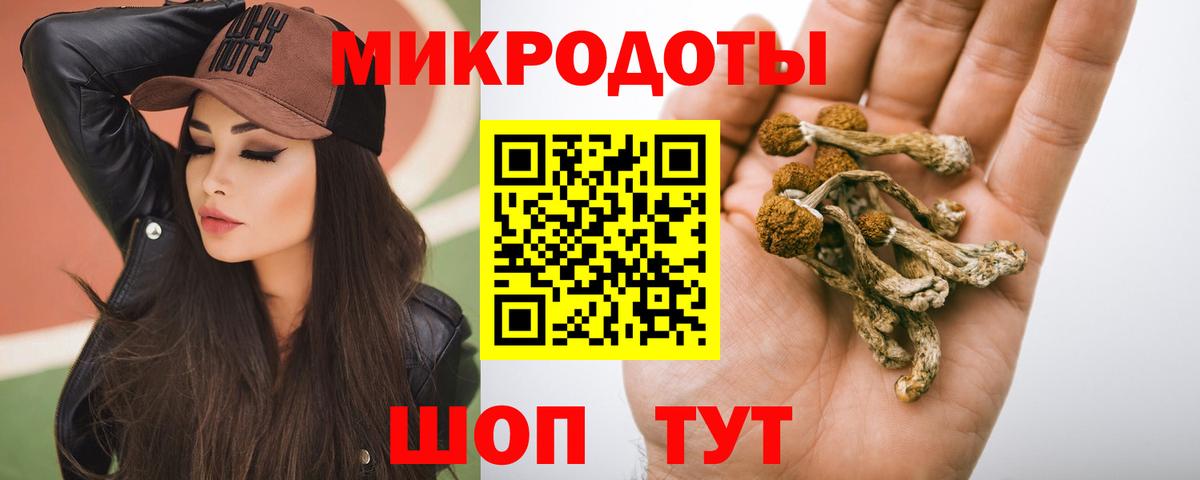 Псилоцибиновые грибы MAGIC MUSHROOMS Дальнереченск